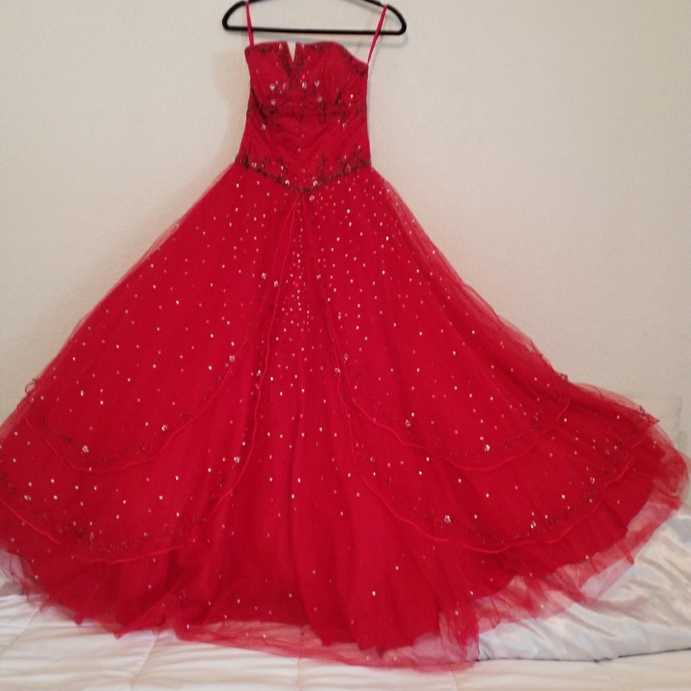 Princess dress for any occasion.